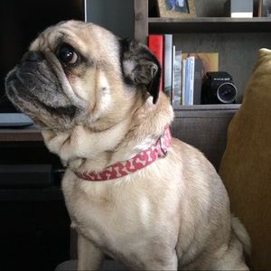 Meet your Posher, Georgina